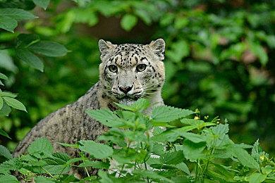 卡通B级片风格动作打僵尸游戏《热血》 现已推出试玩Demo